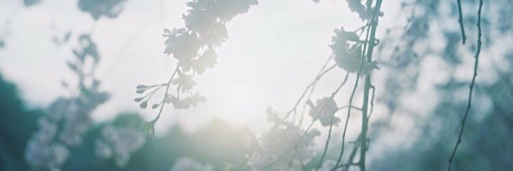 moon6_____'s profile banner image