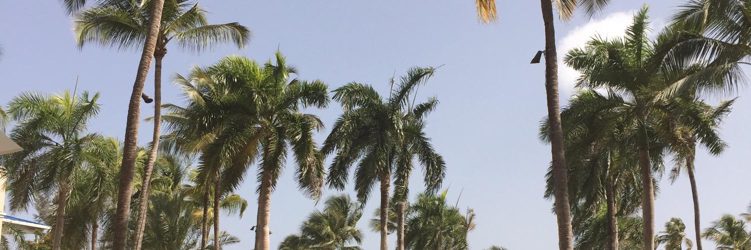 CEmmerman's profile banner image
