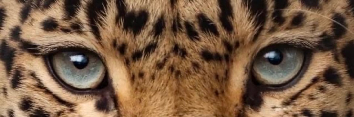 yazargunce's profile banner image