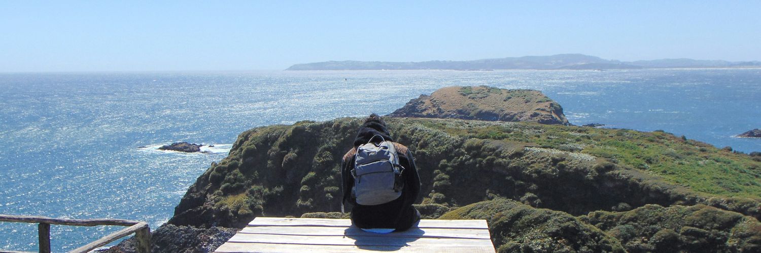 fbarboza103's profile banner image