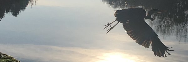 MarijkevanEerd Profile Banner