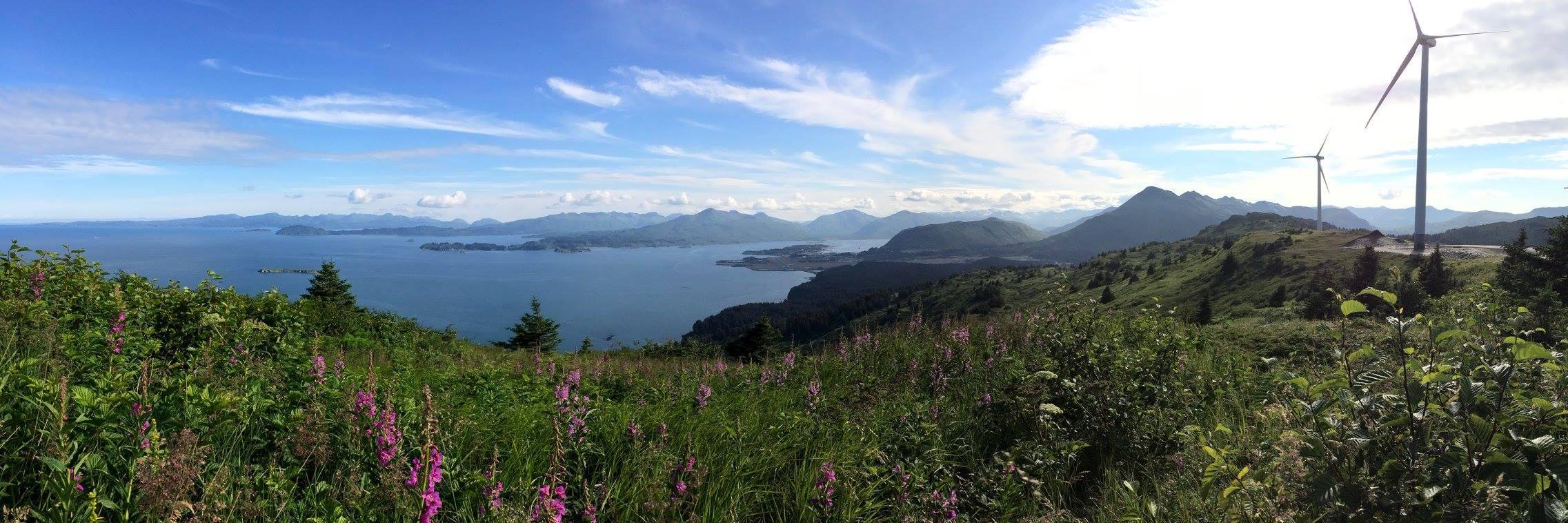 KodiakAlaska's profile banner image