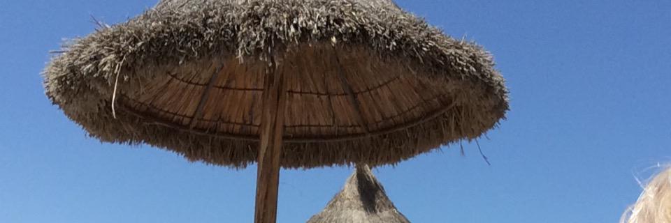 Amiee_ox's profile banner image