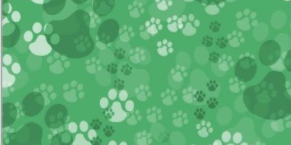 EBHSClassof2015's profile banner image