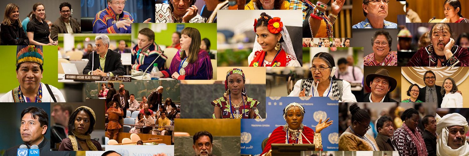 UNPFII Profile Banner