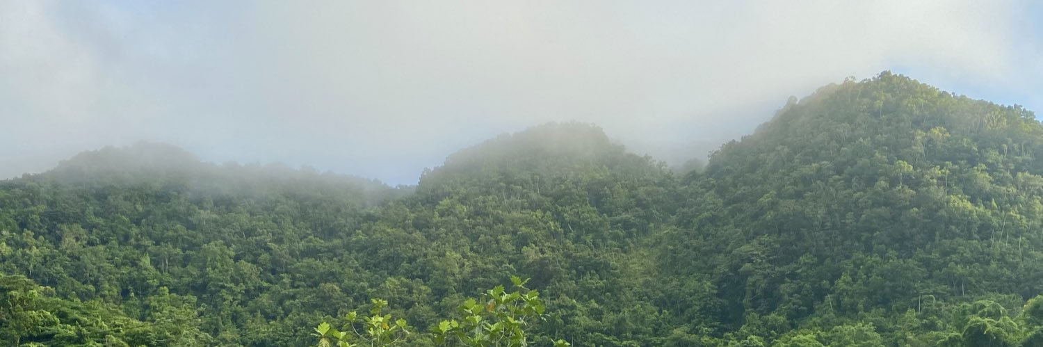 Jamaica Environment Trust banner