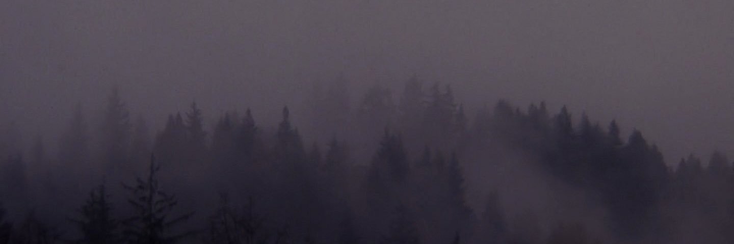 MadShellfish's profile banner image