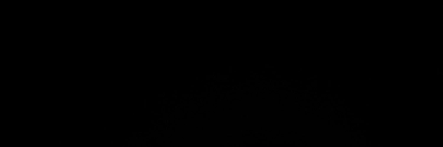 S banner
