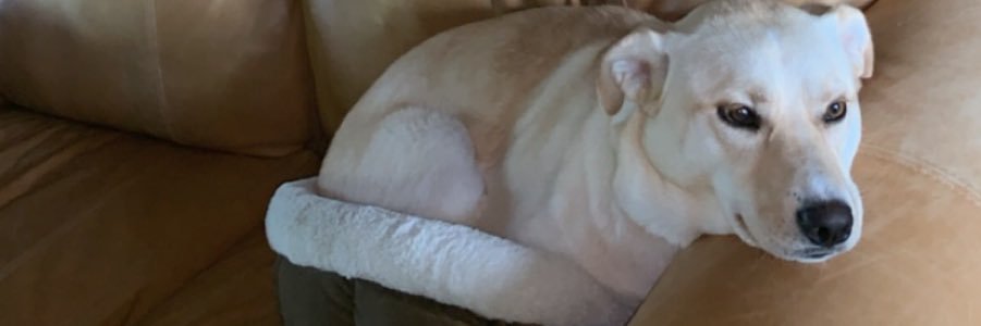 cooperlowe20's profile banner image