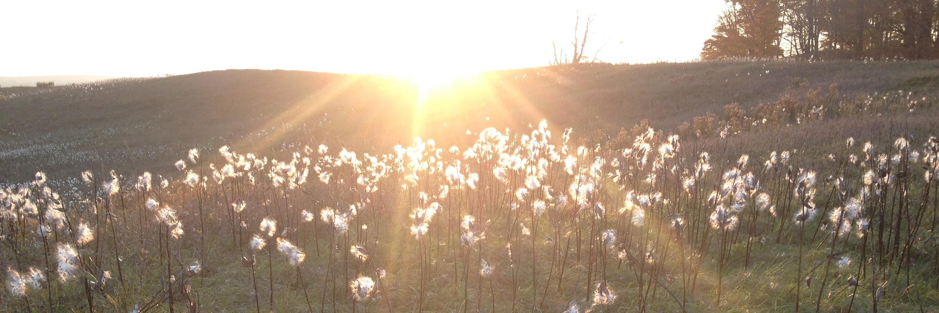 JacobJustPeace's profile banner image