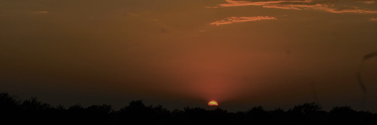 LstInTexas's profile banner image