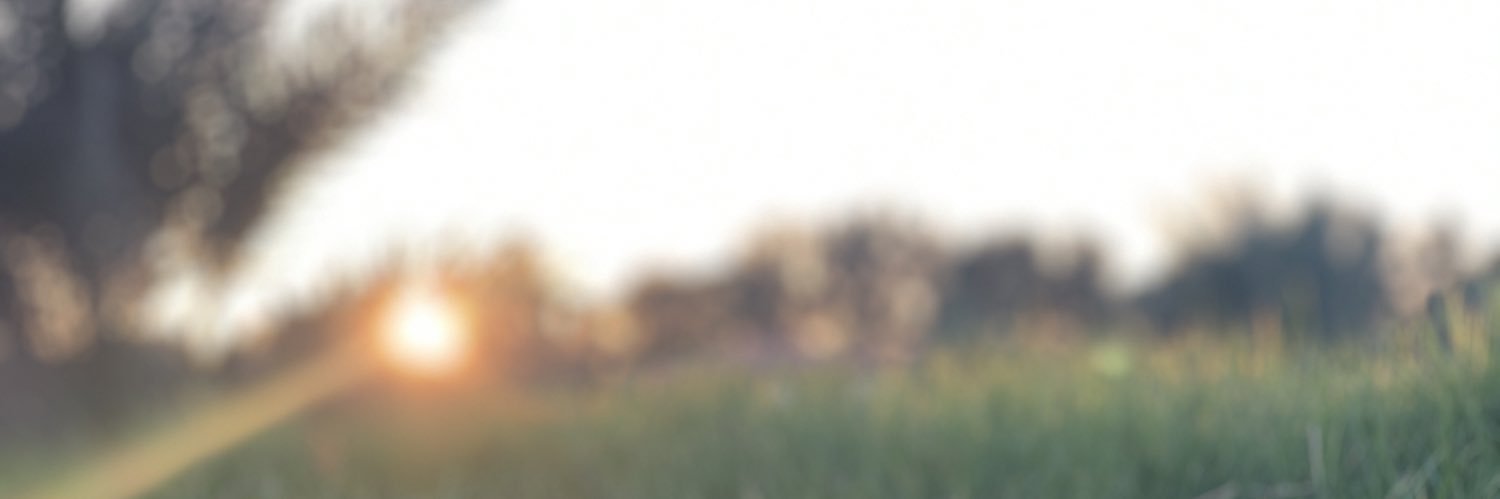 Noni5149's profile banner image