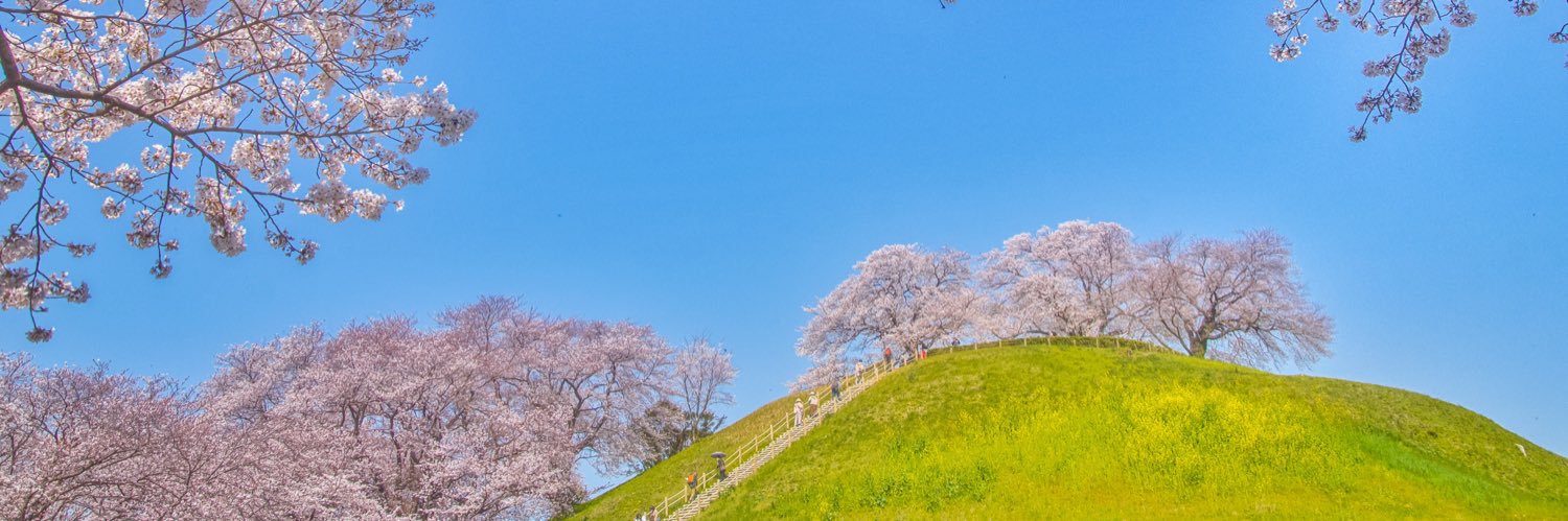 Lihuacat's profile banner image