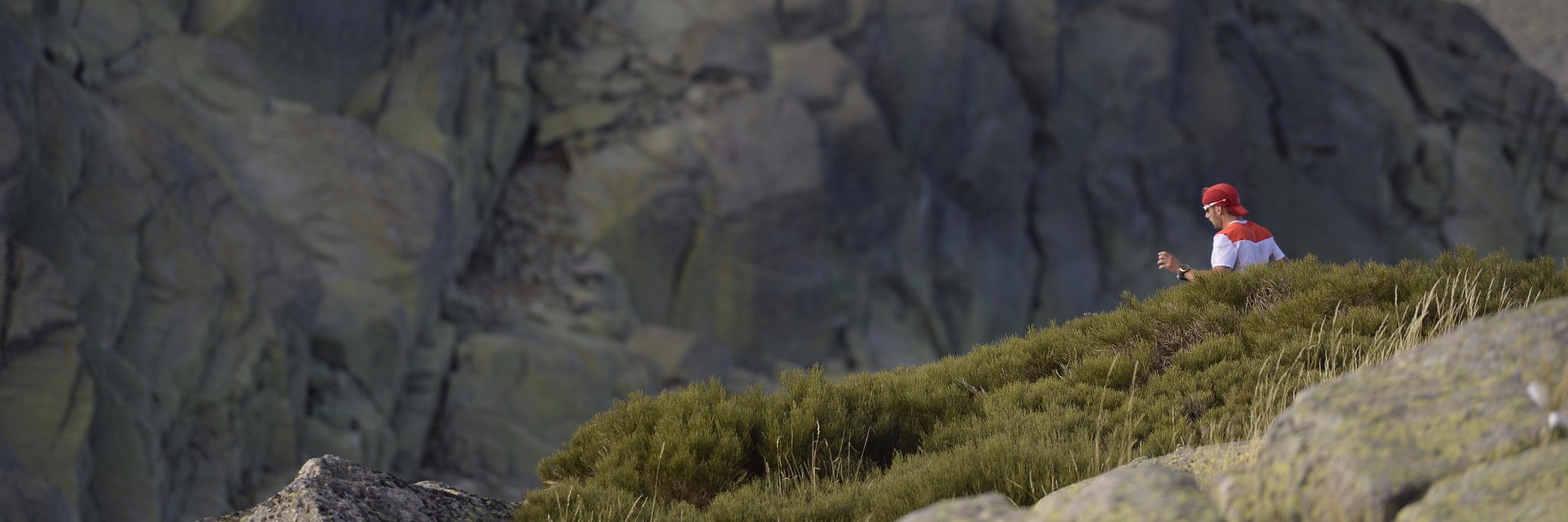 Edu banner