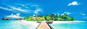 GobbiAlberto's profile banner image