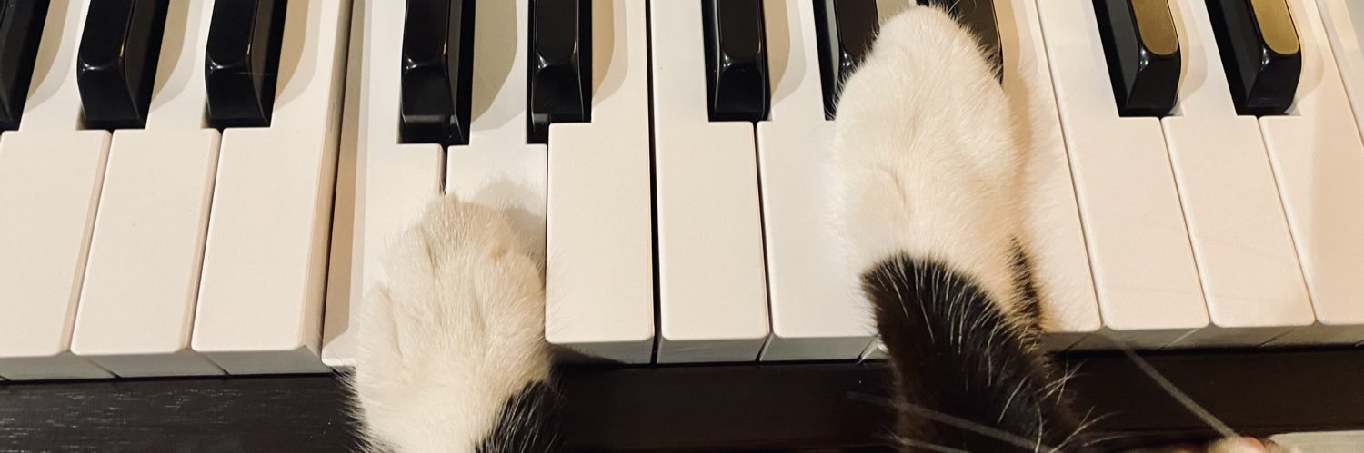 sarrvak's profile banner image