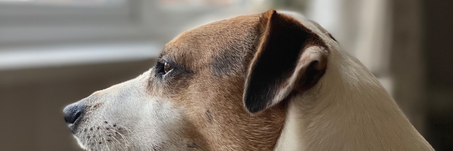 Jason Gooding banner