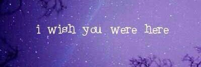 Stephanie Richardson banner