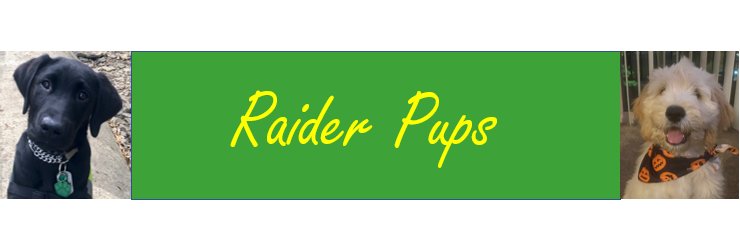 raiderpups's profile banner image
