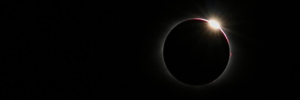 MsAustinBCI's profile banner image
