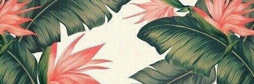 dopenil_'s profile banner image