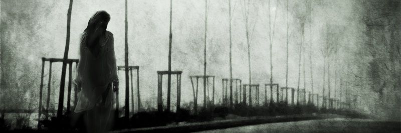 LEIDROSAV's profile banner image