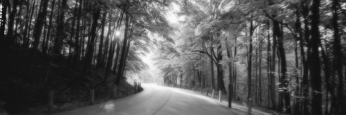 directionboy21's profile banner image