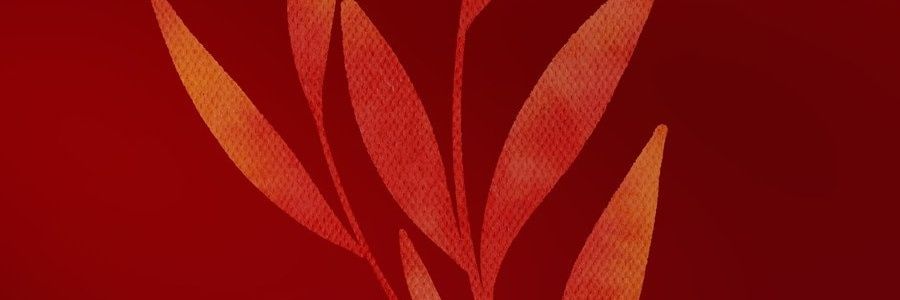 idlienda's profile banner image