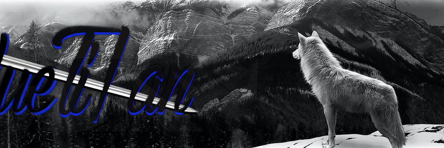 BlueT1tan banner