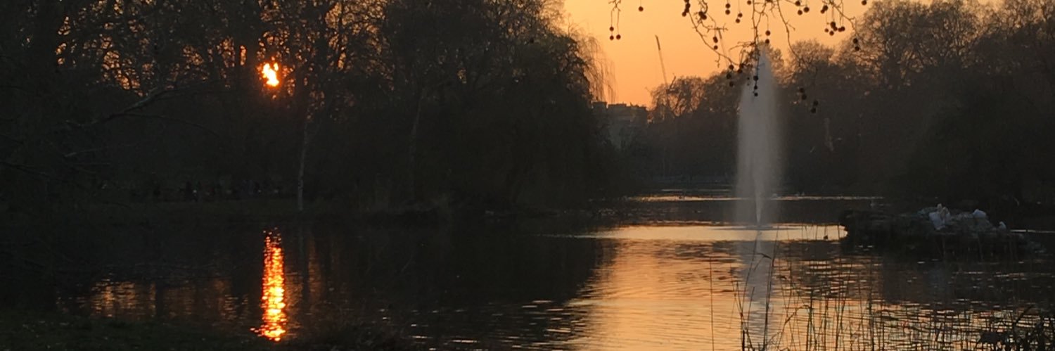 AliMortonali's profile banner image