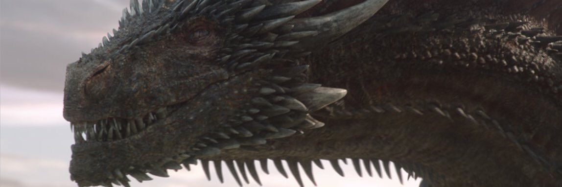 ZanderPaton1's profile banner image