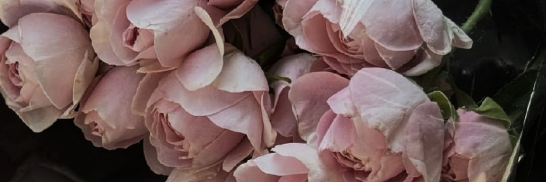 𝑑𝑒𝑎𝑟𝑒𝑠𝑡, 𝐾. banner