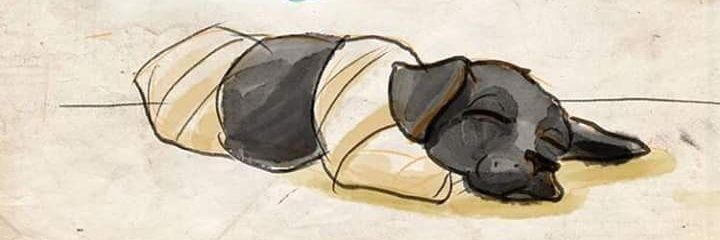 SimorgDernek's profile banner image