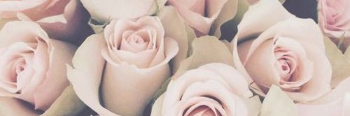 agusmercado3's profile banner image