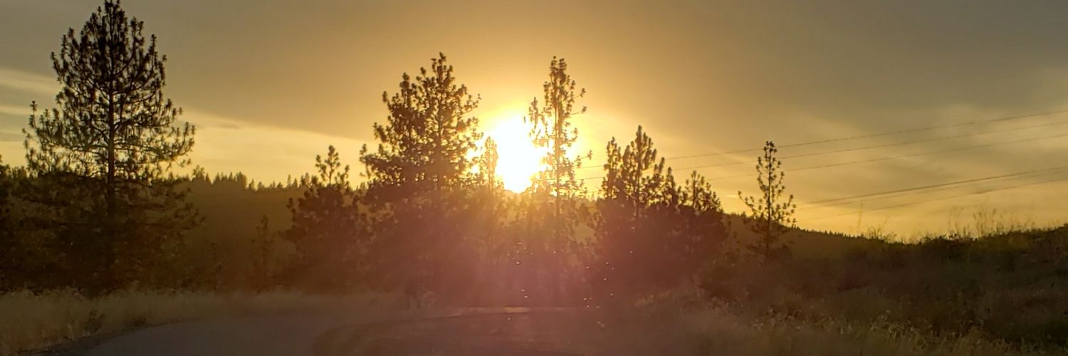 sonalpmane's profile banner image