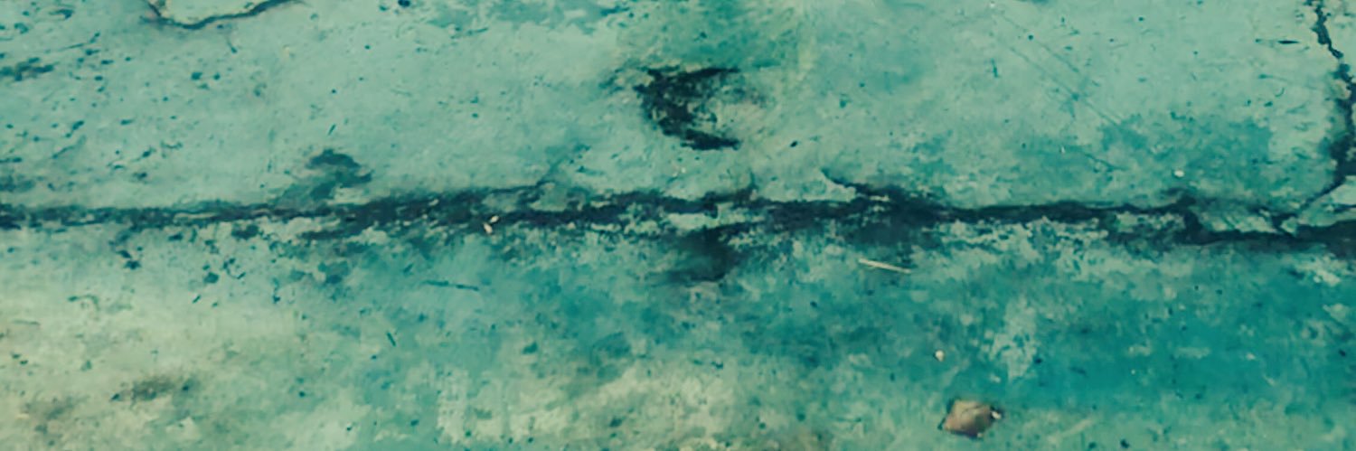 Jolene Gurevich banner
