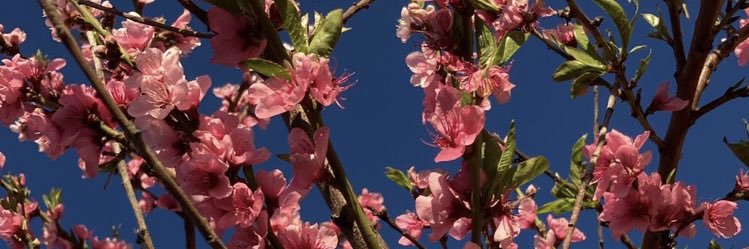 LauraMayamx's profile banner image