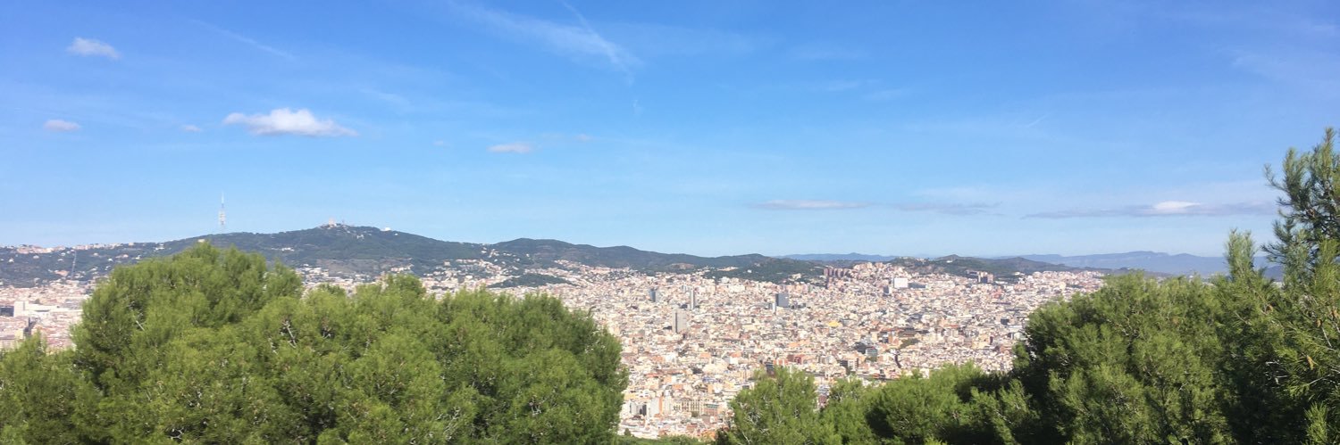 S.Mooro banner