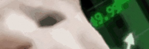 treim banner