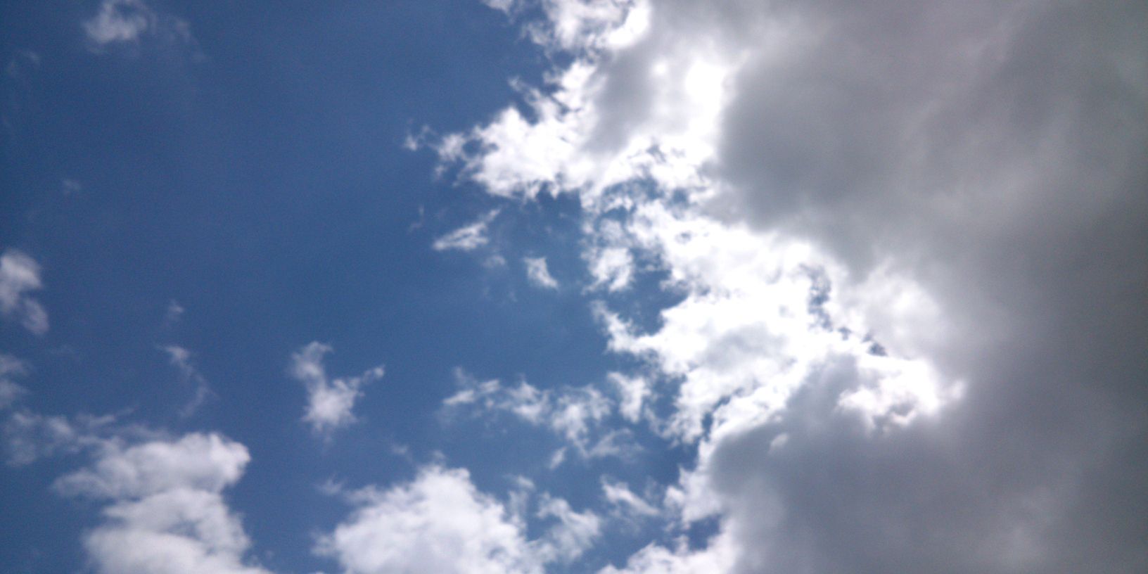 Tse1981's profile banner image