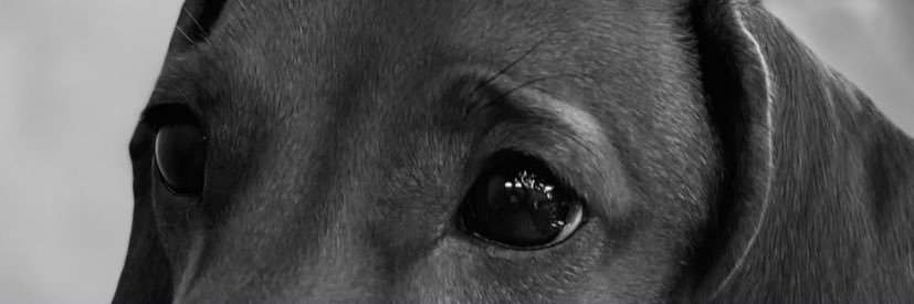clopezdelg's profile banner image