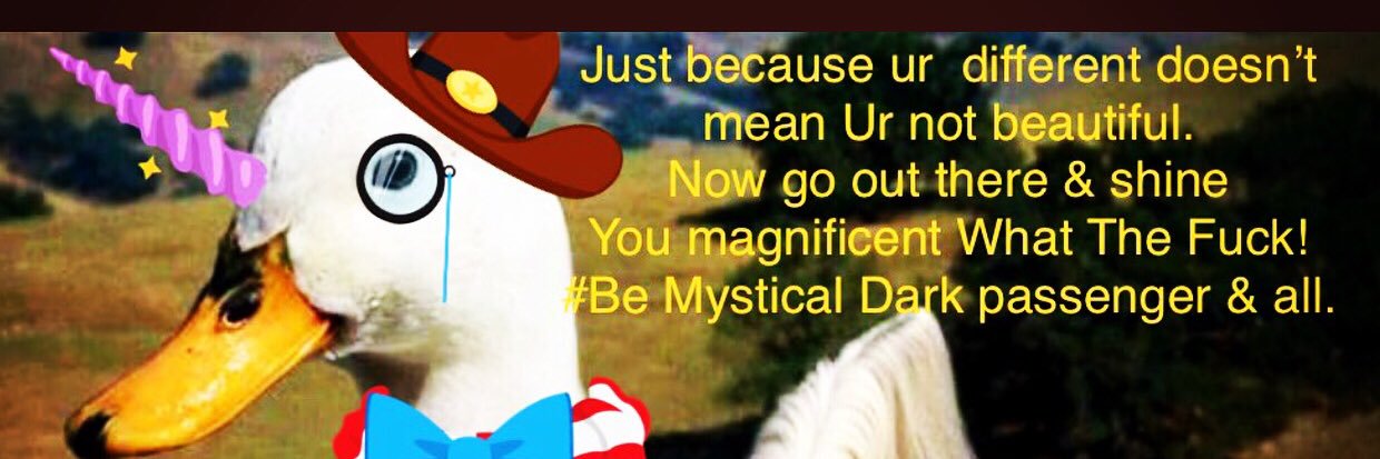 Amanda Zoglio banner