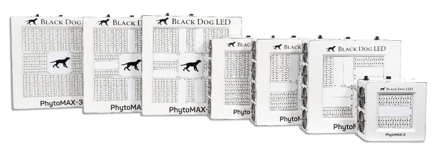 BlackDogLED's profile banner image