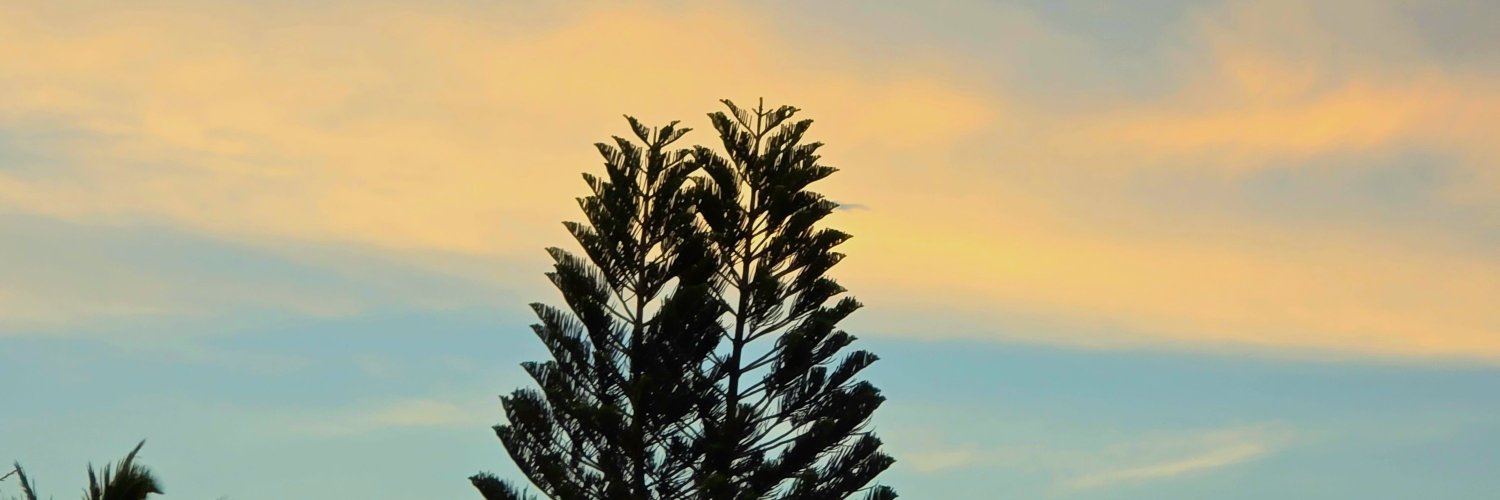 nicky007c's profile banner image