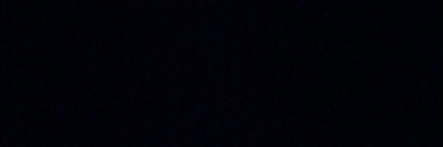 lunaleon13's profile banner image