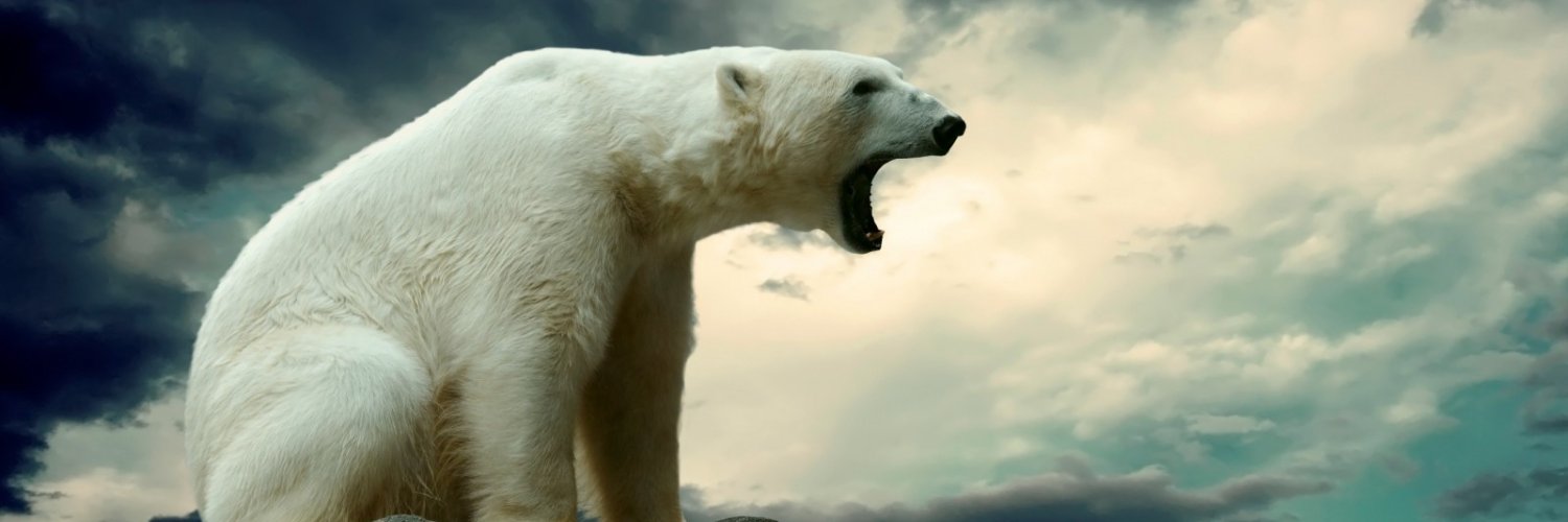 Michael Passavant banner