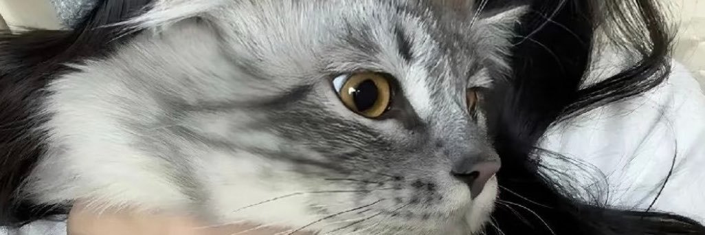 KarenSWorsham1's profile banner image