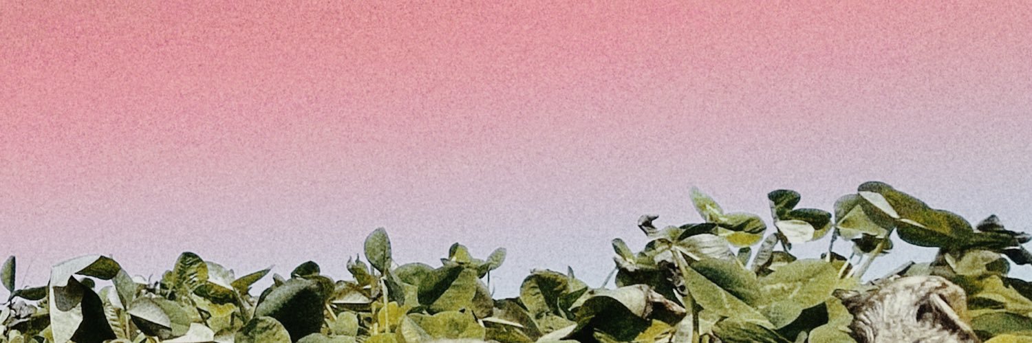 teexhuang's profile banner image