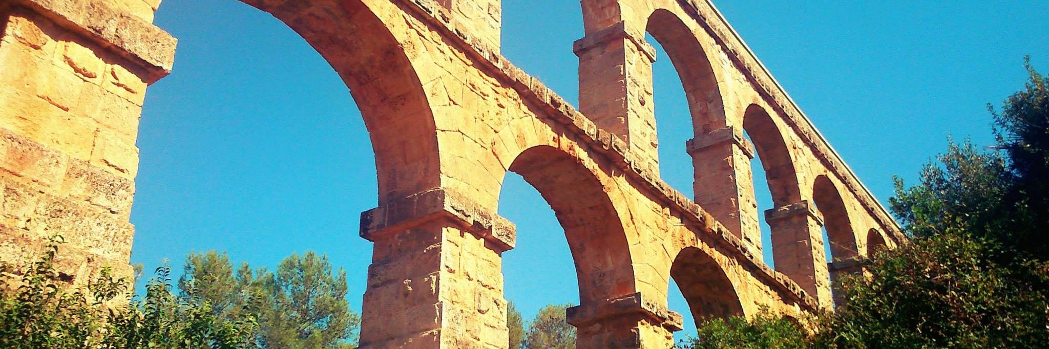 Albertas Rojus banner