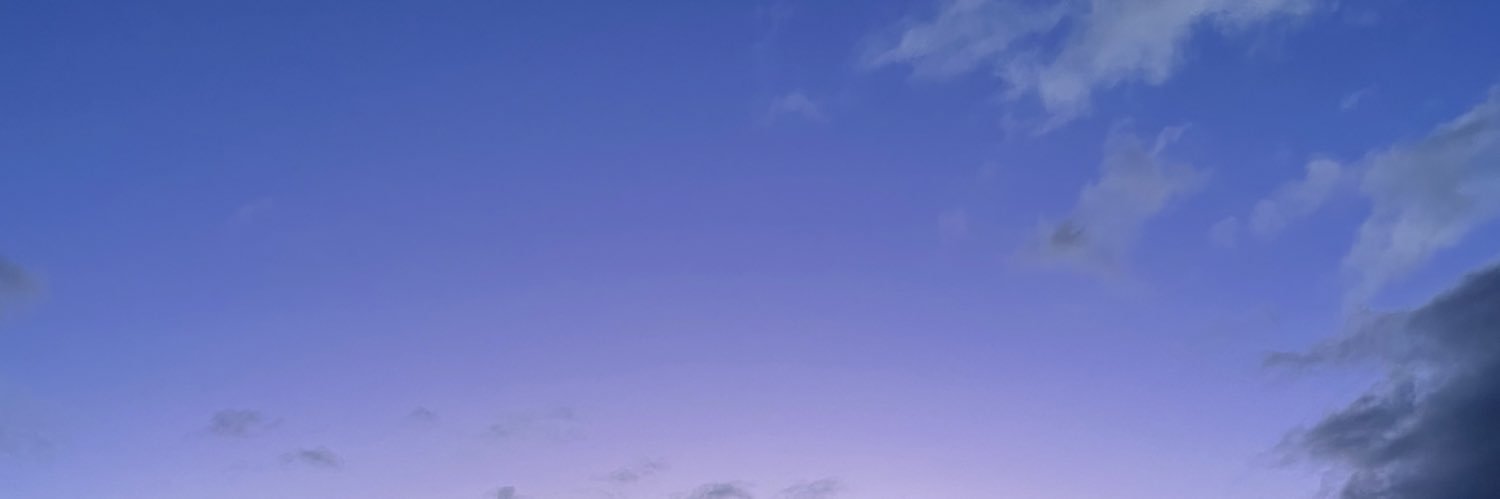 savsoofab's profile banner image